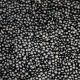 LENTILS, BLACK BELUGA ORG Timeless 8/1#