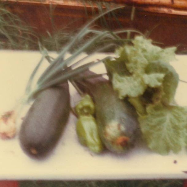 vegetables"